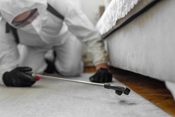 Professional Ant Control technician working in Camp Swift, TX